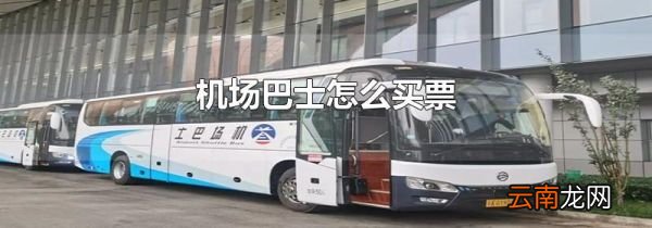 机场巴士怎么买票