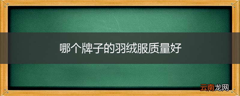 哪个牌子的羽绒服质量好