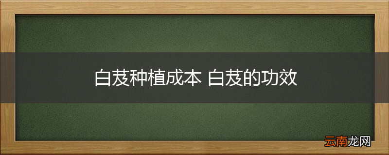 白芨种植成本 白芨的功效