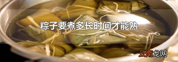 粽子要煮多长时间才能熟