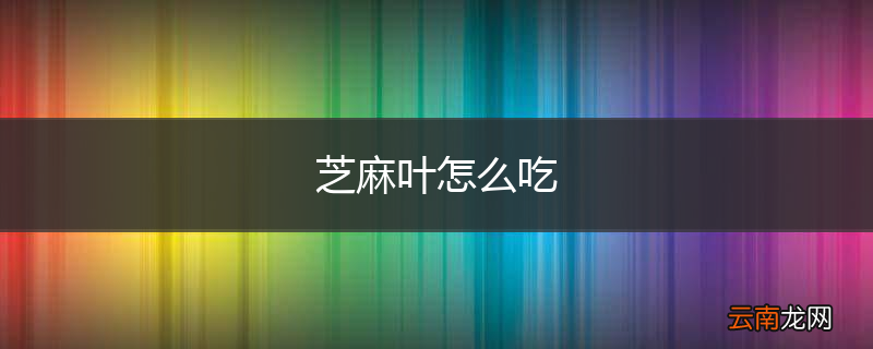芝麻叶怎么吃