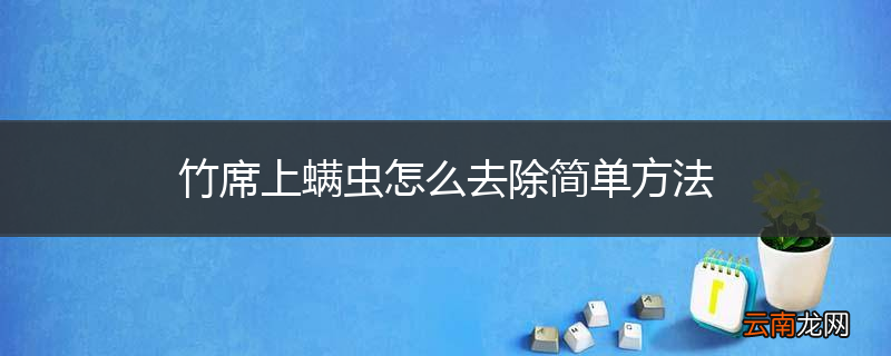 竹席上螨虫怎么去除简单方法