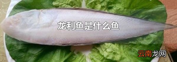 龙利鱼是什么鱼