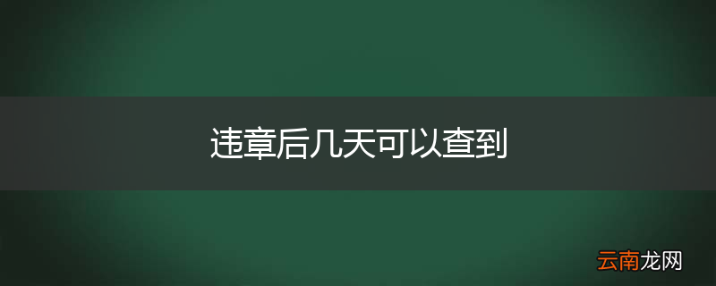 违章后几天可以查到