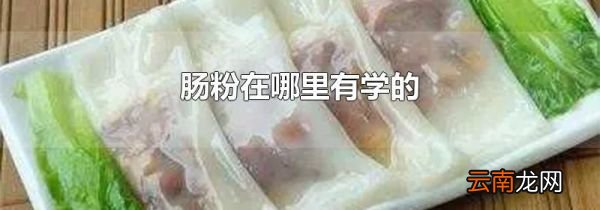 肠粉在哪里有学的