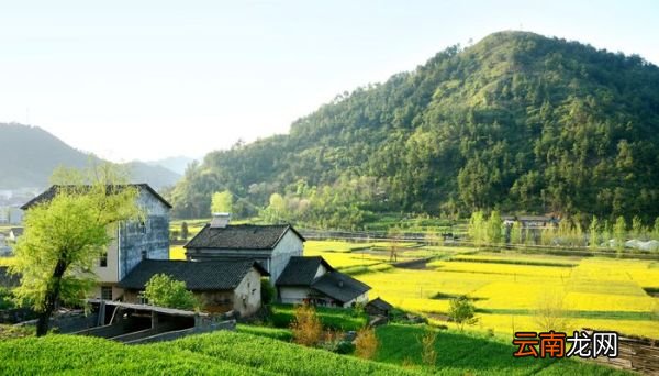 节选 四时田园杂兴的意思 《四时田园杂兴》原文