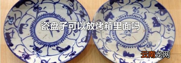 瓷盘子可以放烤箱里面吗