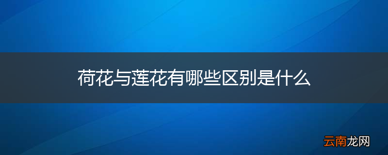 荷花与莲花有哪些区别是什么