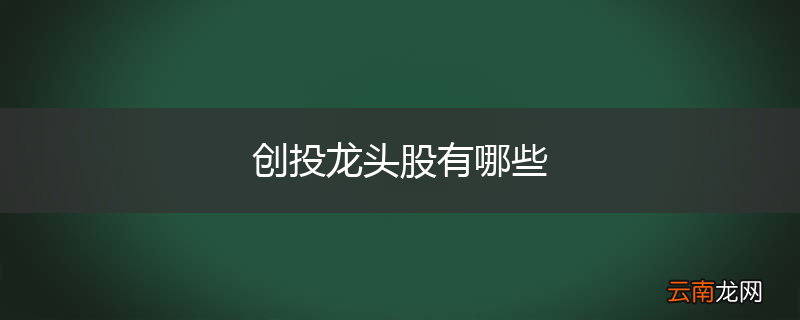 创投龙头股有哪些