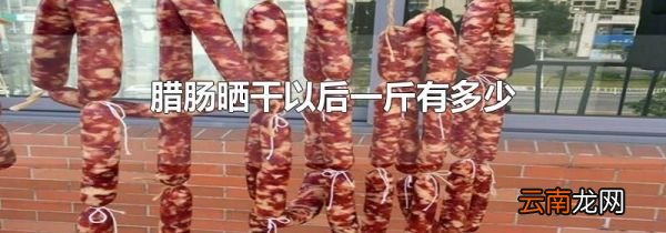 腊肠晒干以后一斤有多少