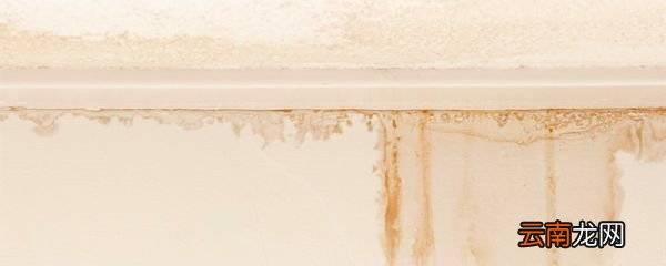 水泥屋顶漏水怎么修补 水泥屋顶漏水如何修补