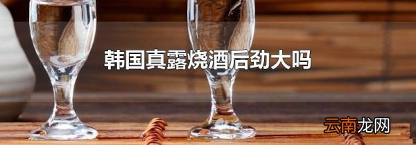 韩国真露烧酒后劲大吗