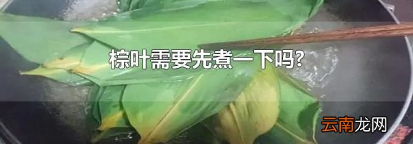 棕叶需要先煮一下吗?