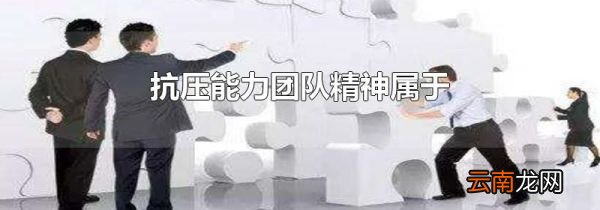 抗压能力团队精神属于