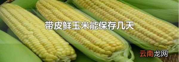 带皮鲜玉米能保存几天
