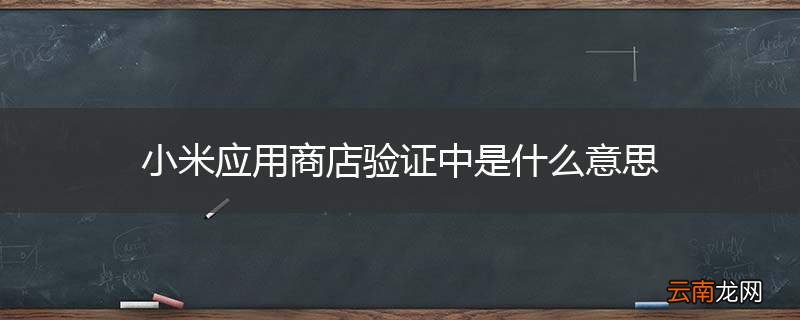 小米应用商店验证中是什么意思