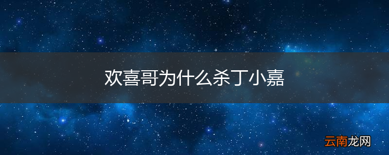 欢喜哥为什么杀丁小嘉