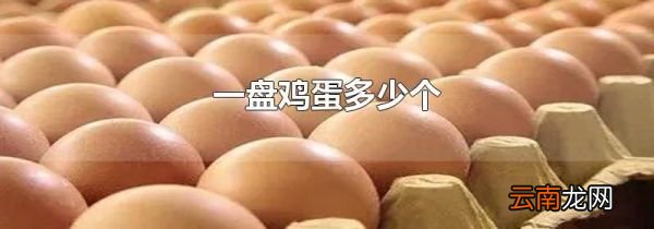 一盘鸡蛋多少个