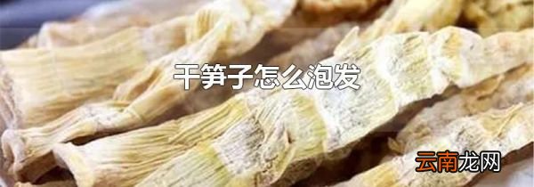 干笋子怎么泡发