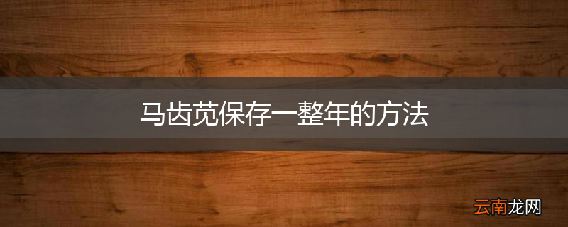 马齿苋保存一整年的方法