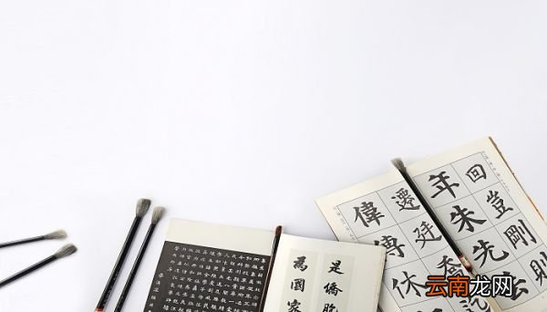 芊芊学子和莘莘学子的区别 芊芊学子和莘莘学子的区别是什么