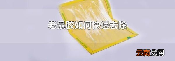 老鼠胶如何快速去除