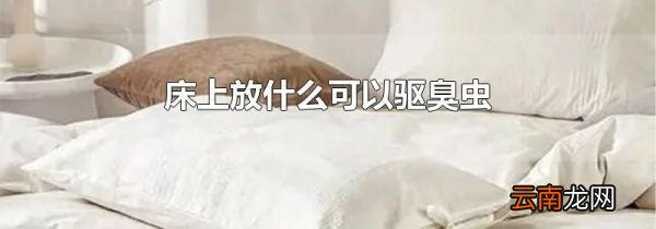 床上放什么可以驱臭虫