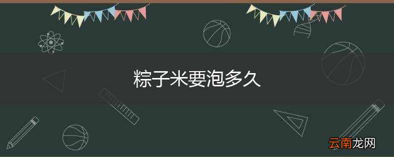 粽子米要泡多久