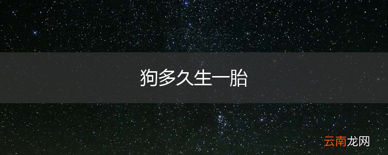 狗多久生一胎