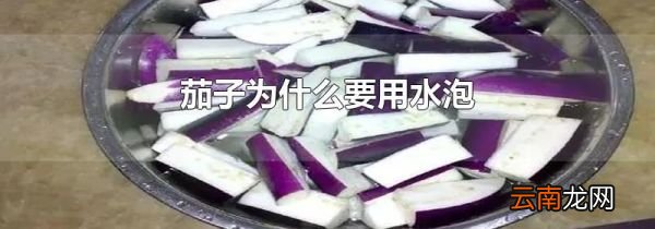 茄子为什么要用水泡