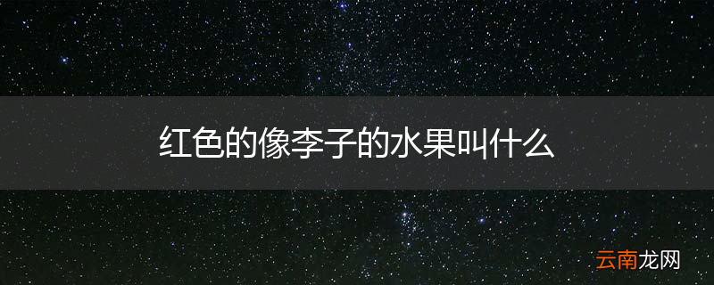 红色的像李子的水果叫什么
