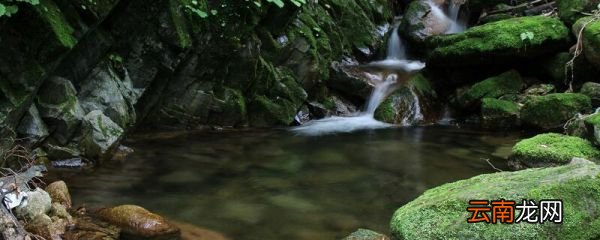 小石潭记原文注释翻译 小石潭记原文及翻译