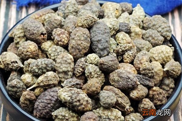 野西瓜泡酒的功效与作用 野西瓜泡酒有什么作用