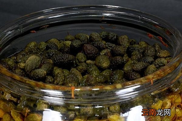 野西瓜泡酒的功效与作用 野西瓜泡酒有什么作用