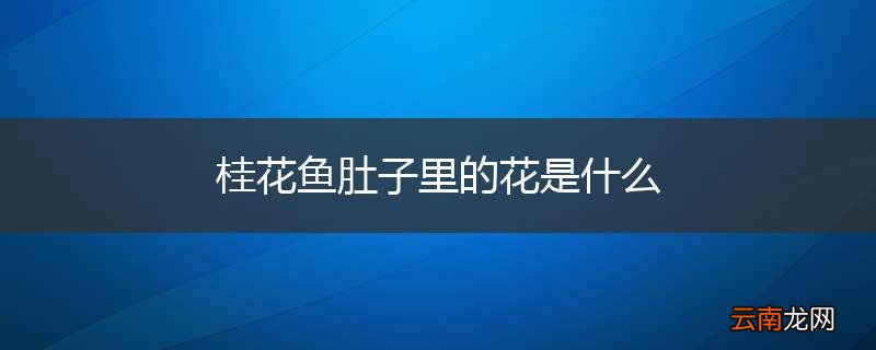 桂花鱼肚子里的花是什么