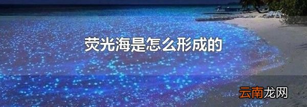 荧光海是怎么形成的
