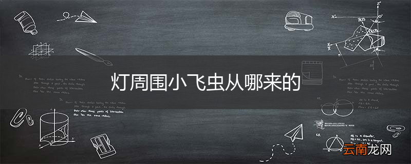 灯周围小飞虫从哪来的