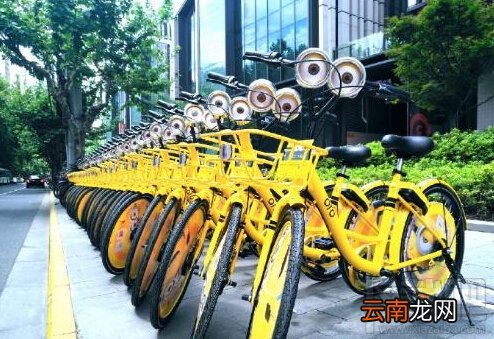 ofo小黄车周卡在哪领取？ofo小黄车周卡领取方法介绍