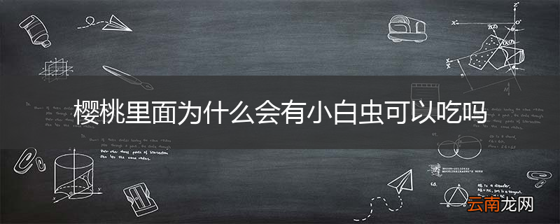 樱桃里面为什么会有小白虫可以吃吗