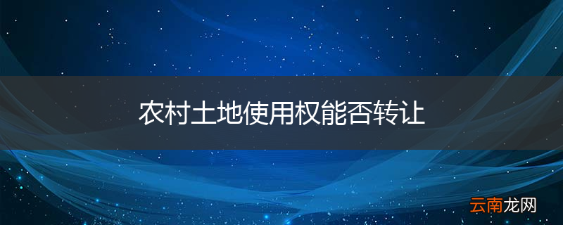 农村土地使用权能否转让