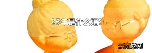 25年是什么婚?