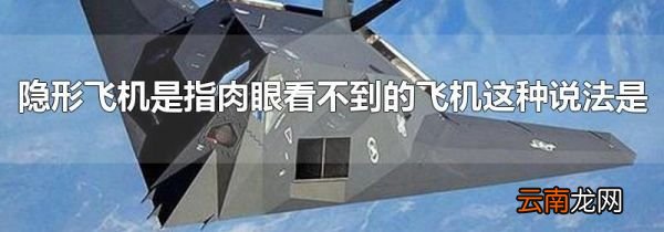 隐形飞机是指肉眼看不到的飞机这种说法是