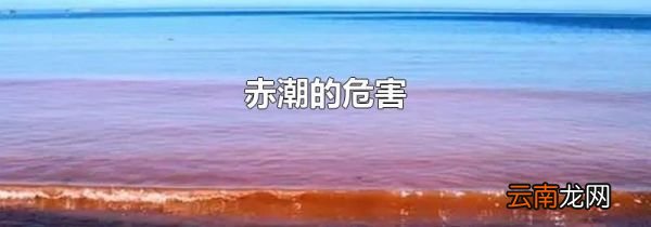 赤潮的危害