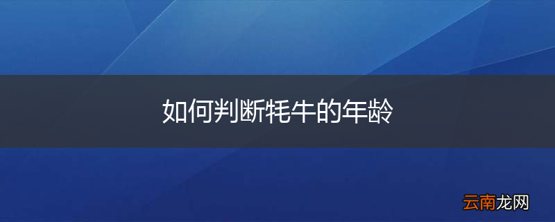 如何判断牦牛的年龄