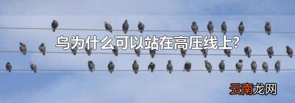 鸟为什么可以站在高压线上?