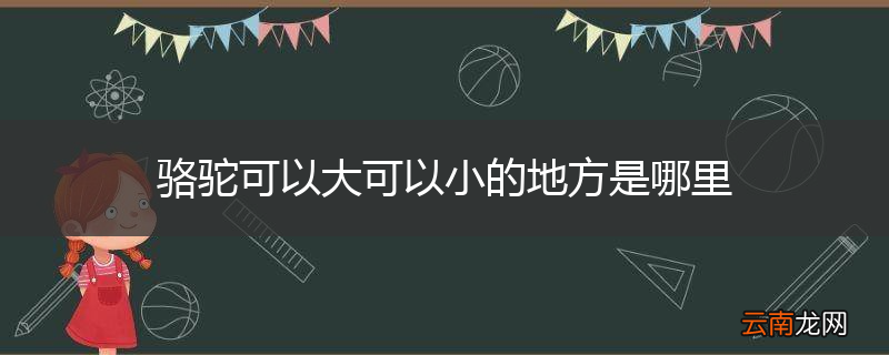 骆驼可以大可以小的地方是哪里