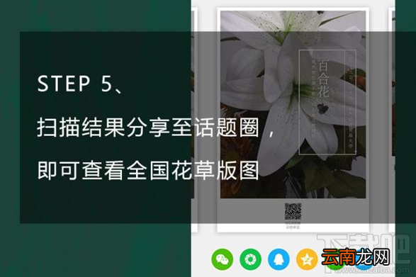 QQ浏览器识你所见是什么？QQ浏览器识你所见怎么玩？