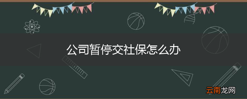 公司暂停交社保怎么办