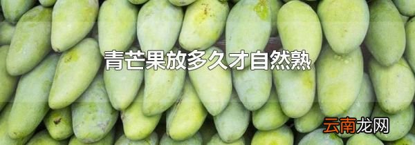 青芒果放多久才自然熟