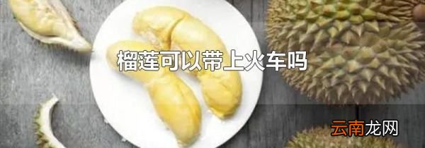 榴莲可以带上火车吗